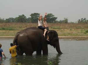 Kąpiel ze słoniem - powrót do hotelu
