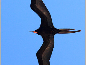 Ecuador