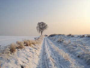 pejzaż