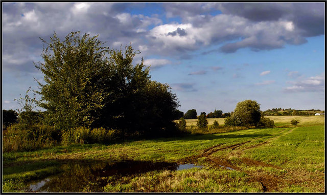 pejzaż