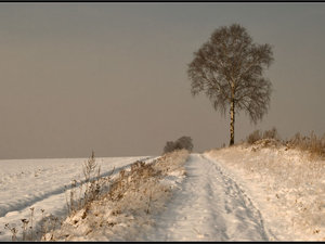 pejzaż