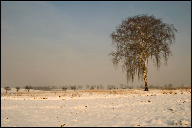 pejzaż