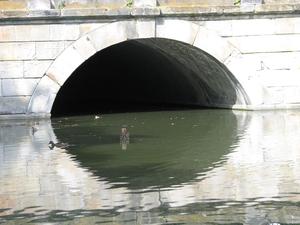 Mostek w Łazienkach