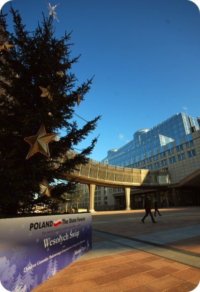 Polska choinka przed Parlamentem Europejskim