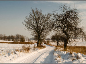 Wesołych Świąt 