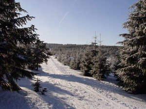 Szlak pieszy używany przez narciarzy