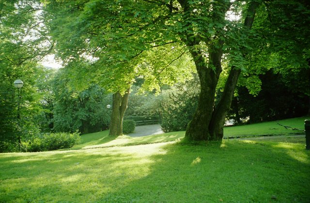 Park przy  uniwersytecie