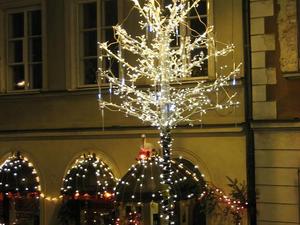 img_7841