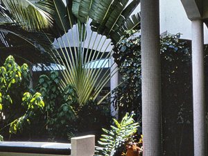 Dar es Salaam - strefa turystyczna