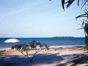 Dar es Salaam - plaże z koralowych raf