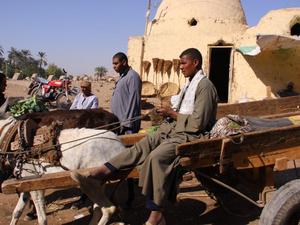 LUXOR WEST BANK - lokalny targ niedaleko wioski  Al-Gezira