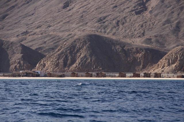 Red Sea w okolicach Taby widok na bungalowy z łódki