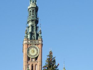 Gdańsk-zima 2009 - głowna  choinka  przed ratuszem