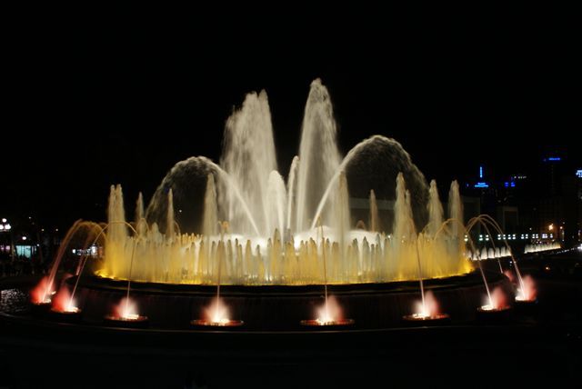 Dsc01164