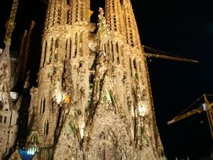 Dsc01740