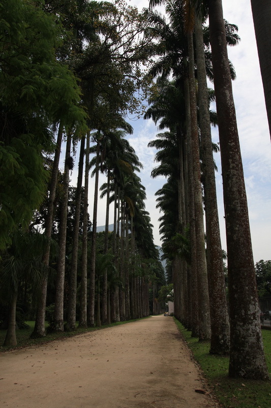 Rio de Janeiro - Jardim Botanico