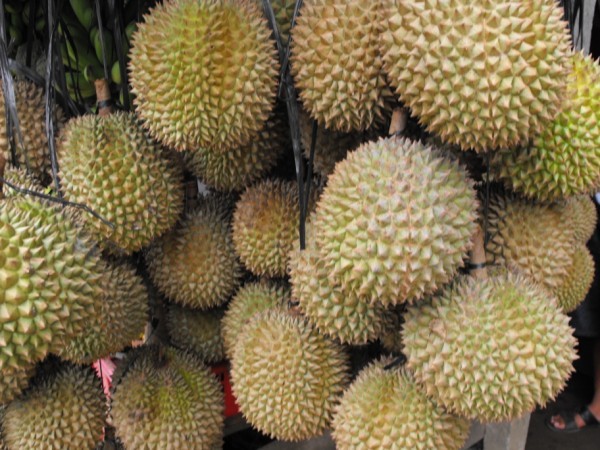 owoc śmierdzącego lecz w srodku pysznego Duriana
