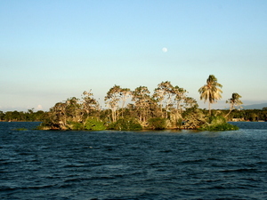 Rio Dulce - wyspa