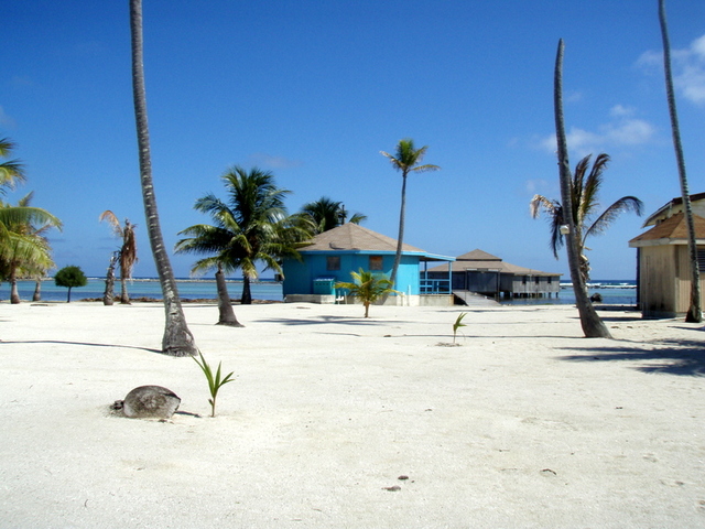 Belize - gdzieś na wyspach