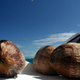 Kokosy na jachcie