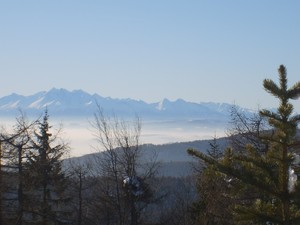 Jaworzyna Krynicka zimą - widok na Tatry