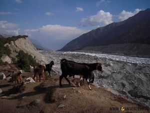 W górach Karakorum