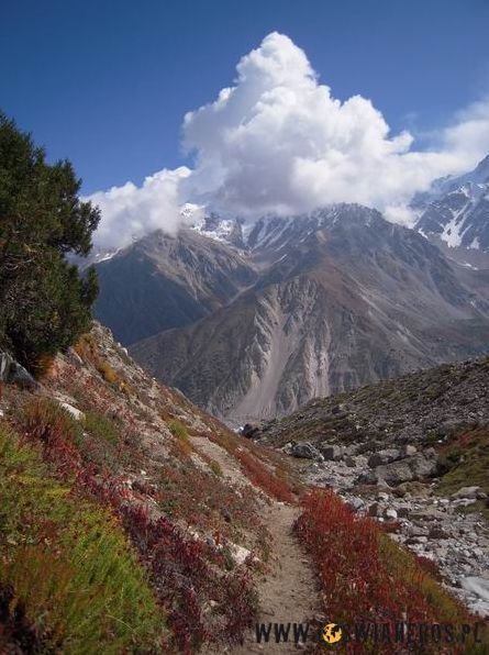 W górach Karakorum