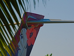 Hawaiian Airlines