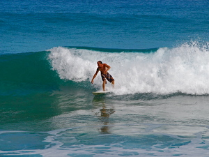 Surfer na Donkey beach