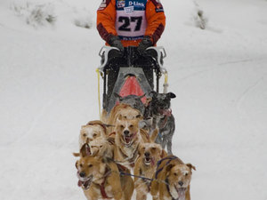 Husgvarna Taur-2010
