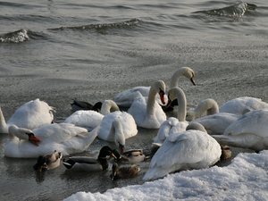 Sopot - zima 2010 - dramat