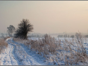 Pejzaż