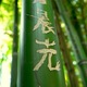 Klasztor Shaolin bambus