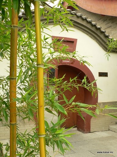 Xian - Wielka Pagoda bambus