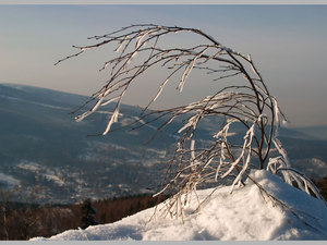 pejzaż zimowy 