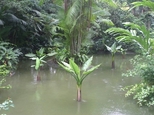 Ogród Botaniczny