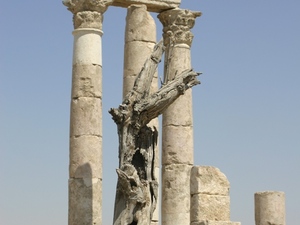 Świątynia Herkulesa - Amman
