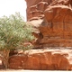 Gdzieś na pustyni Wadi Rum