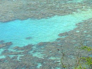 Oahu - wybrzeże nawietrzne