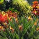 Kauai