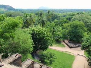 widok na dżungle w Yapahuwie