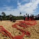 plaża w Negombo (4)