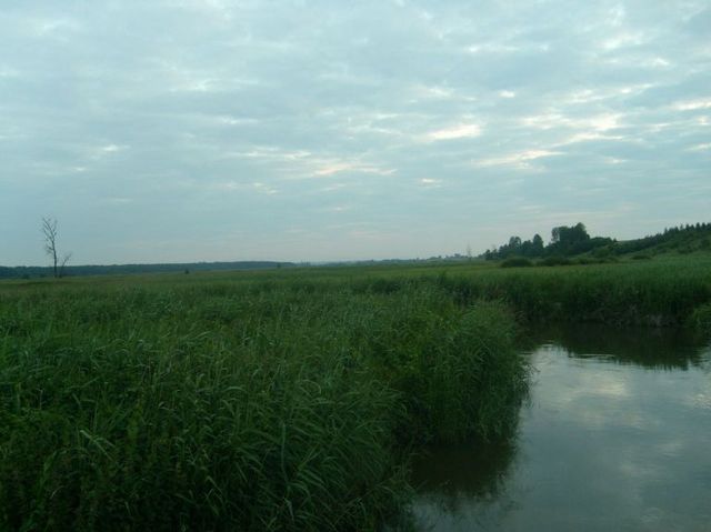 Łąki nd wWeprzem