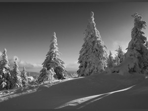 Karkonosze