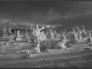 Karkonosze