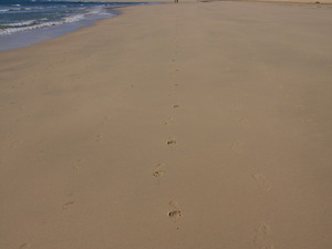 Playa de Sotavento