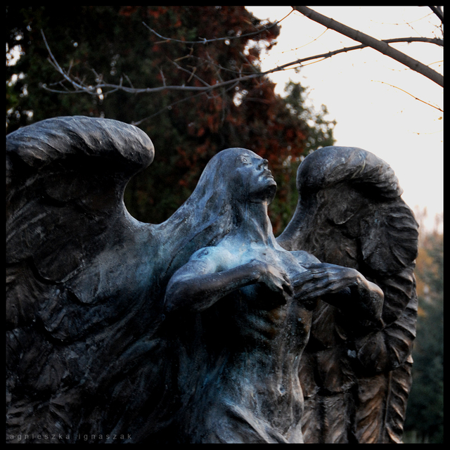 When sorrow sang