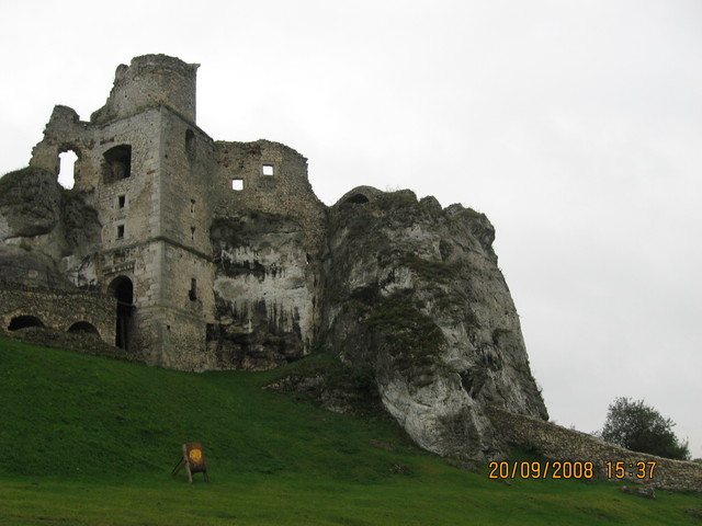 Ogrodzieniec