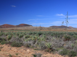 widok w drodze do El Cotillo