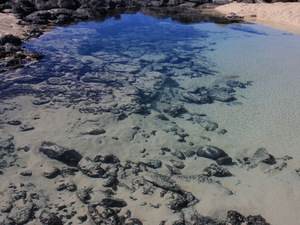 przy plazy w El Cotillo